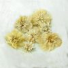 Hang Bai Gong Premium Chrysanthemum Flower