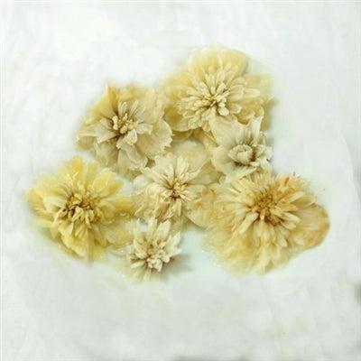 Hang Bai Gong Premium Chrysanthemum Flower
