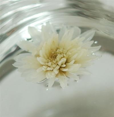 Hang Bai Gong Premium Chrysanthemum Flower