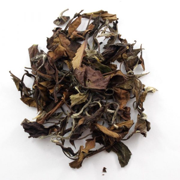 Shou Mei Aged Loose Leaf White Tea 2013