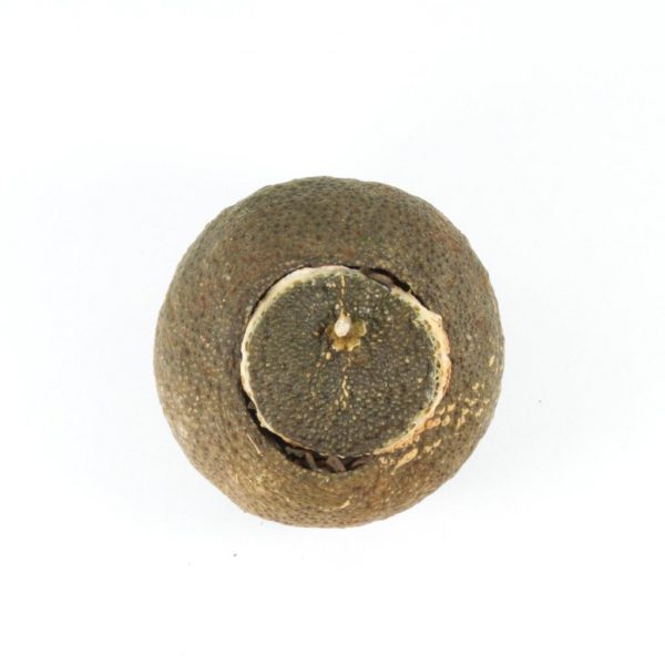 DSC_0293_1763992468641-1.jpg Pu-erh Tea in Green Mandarina 2022 (Cooked/Shou)