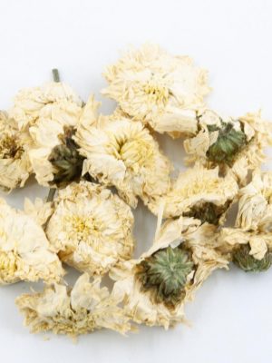 MaRou-48_1763992743825.jpg Hang Bai Gong Premium Chrysanthemum Flower