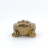 Color Changing Tea Pet (Alocroic) -- Golden Frog