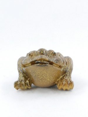 TP-CC-005-2_1763992630838-1.jpg Color Changing Tea Pet (Alocroic) -- Golden Frog