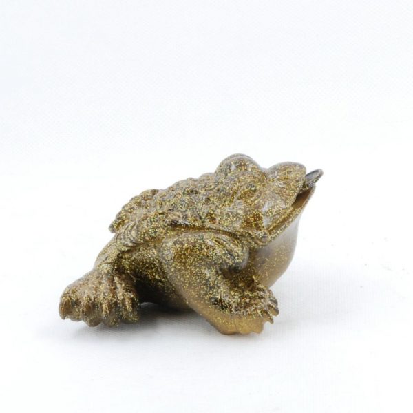 Color Changing Tea Pet (Alocroic) -- Golden Frog