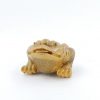 Color Changing Tea Pet (Alocroic) -- Golden Frog