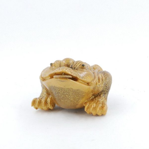 Color Changing Tea Pet (Alocroic) -- Golden Frog