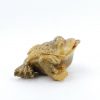 Color Changing Tea Pet (Alocroic) -- Golden Frog