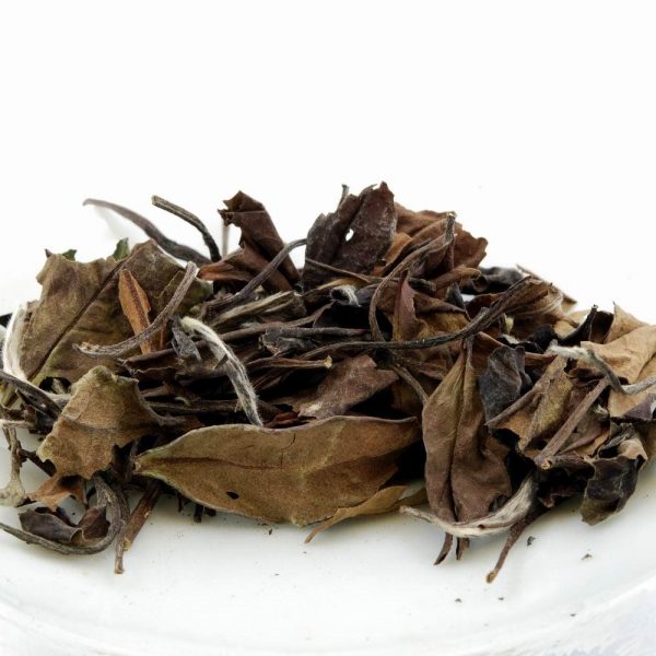WSM-001-4_1763992816455.jpg High Mountain Loose Leaf Shou Mei White Tea 2006