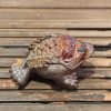 Color Changing Tea Pet (Alochroic) -- Three-Legged Coin Frog
